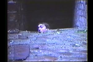 The School of Life and Fish / LV / 5'