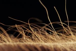 Apmatojums! / FR / 18'