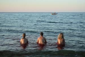 Purpura saites / AT, DE / 18'