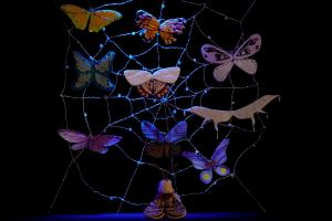 Spārnu veikals / CL, FR, DE, MX, ES / 5'