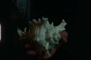 Vai jūrai ir sirds? / LT / 7'