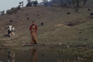 Ģimenes cilvēks / AU / 17'