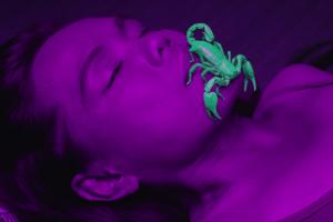 Ultravioletais / FR / 8'