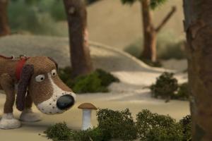 Sēnes dzīve / LV / 8'